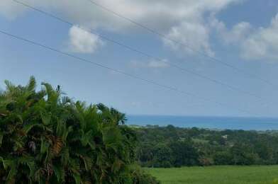 Maison 4 pièces 335000 €