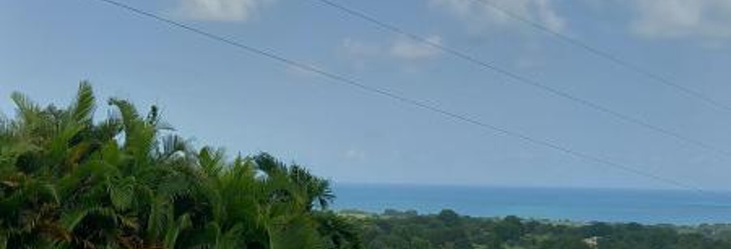 Maison 4 Pièces  m² à vendre à Sainte-Rose (97115)