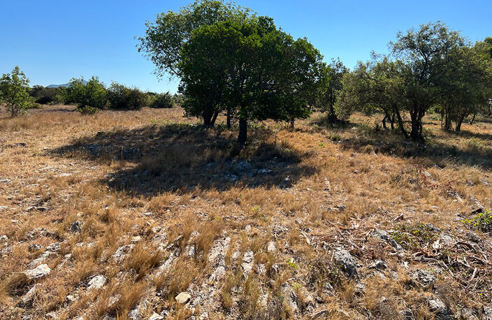 Terrain - 1073 — photo 2