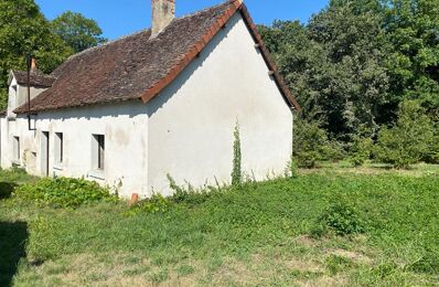 vente maison 43 990 € à proximité de Paulnay (36290)