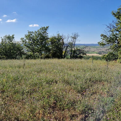 Terrain  29000 €