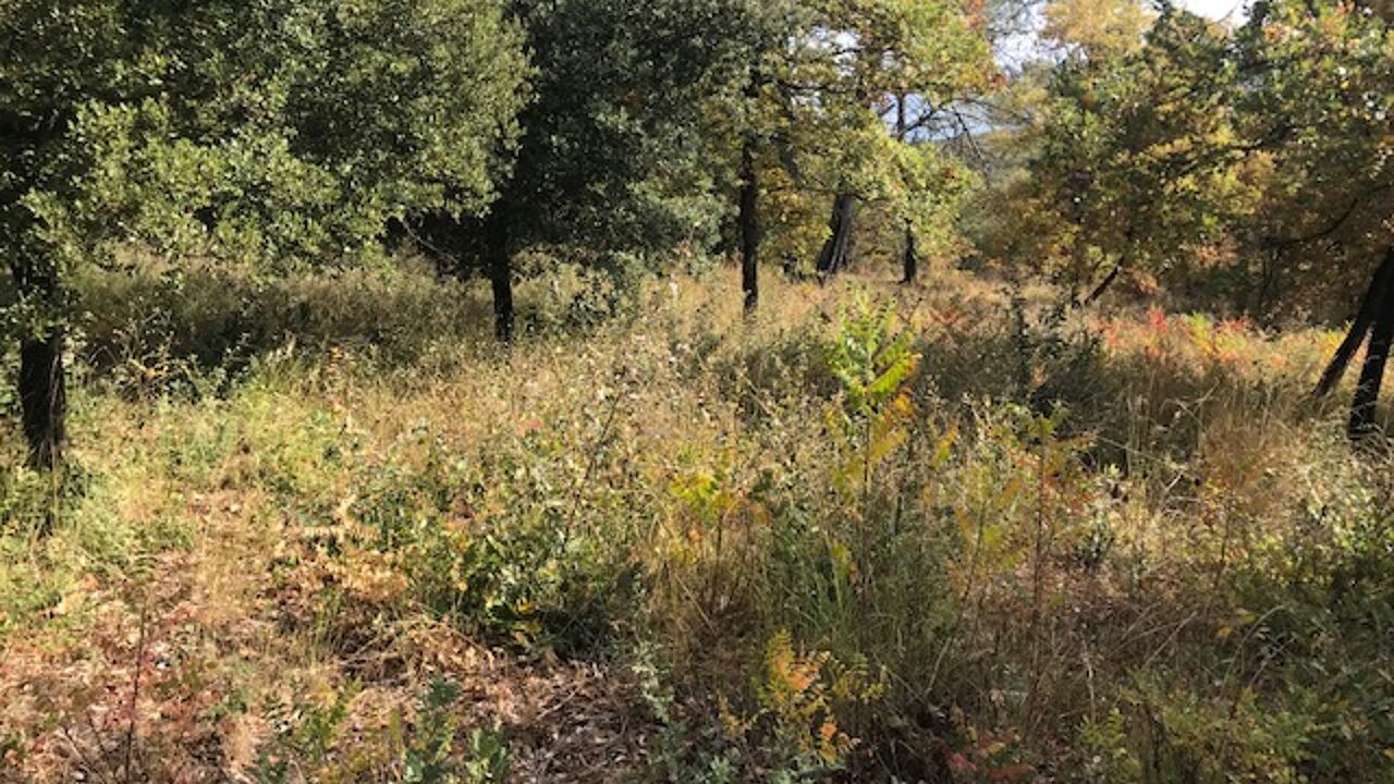 terrain 500 m2 à construire à Besse-sur-Issole (83890)