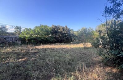 terrain  pièces 647 m2 à vendre à Puget-sur-Argens (83480)