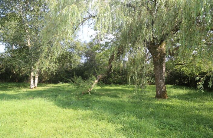 Maison sur 6 132 m² de terrain — photo 3