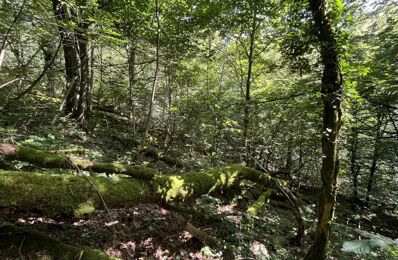 terrain  pièces 8822 m2 à vendre à Autun (71400)