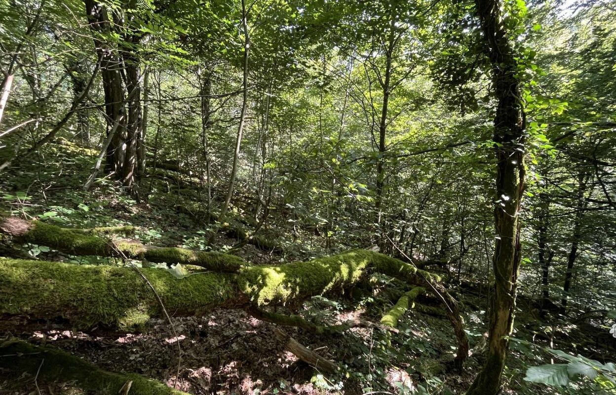 terrain  pièces 8822 m2 à vendre à Autun (71400)