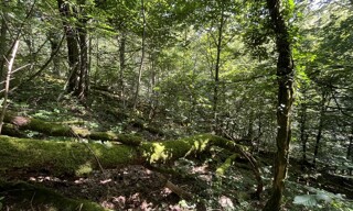 Terrain  8822 m² à vendre à Autun (71400)