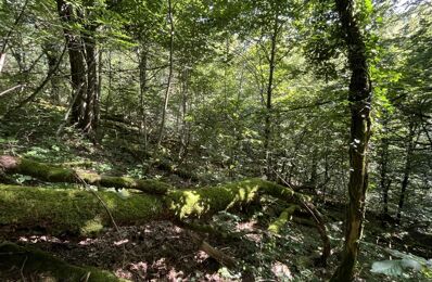 vente terrain 4 000 € à proximité de Dracy-Saint-Loup (71400)