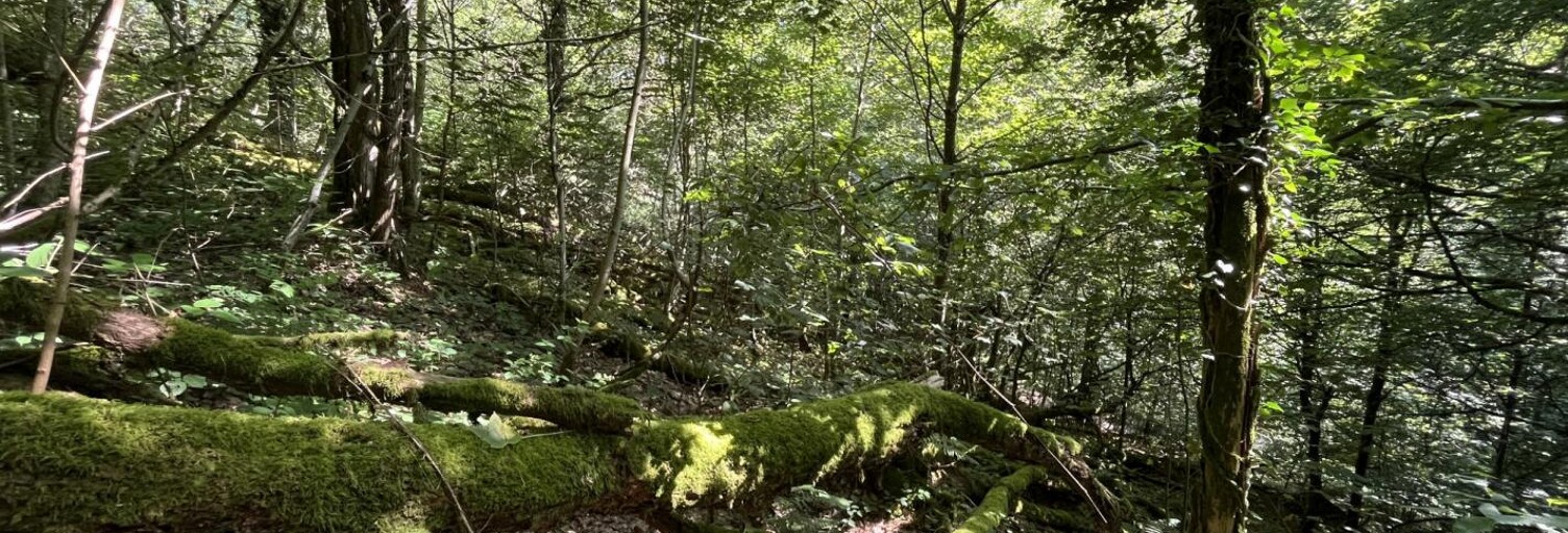 Terrain  8822 m² à vendre à Autun (71400)