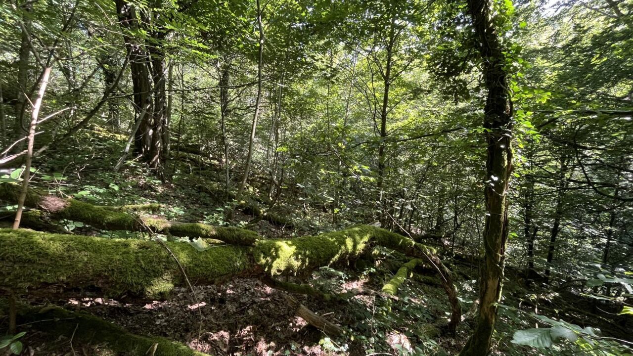 terrain  pièces 8822 m2 à vendre à Autun (71400)