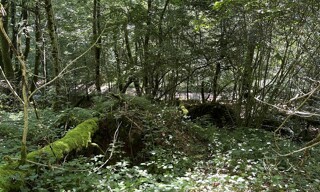 Photo N° 3
