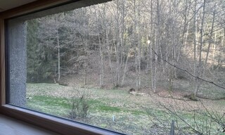 Photo N° 6