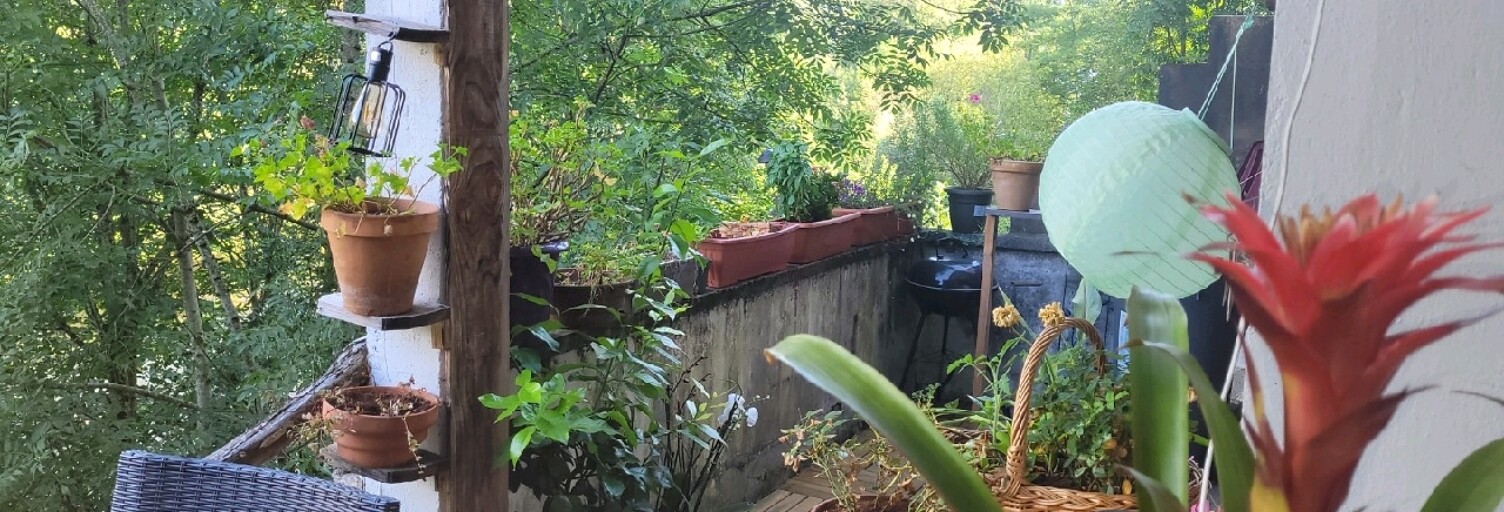 Maison 5 Pièces 120 m² à vendre à Bort-les-Orgues (19110)