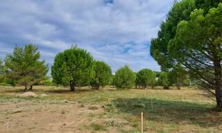 Terrain 539 m² à construire Caromb (84330)