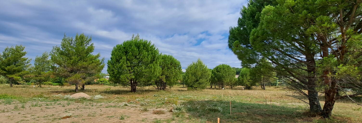 Terrain 539 m² à construire Caromb (84330)