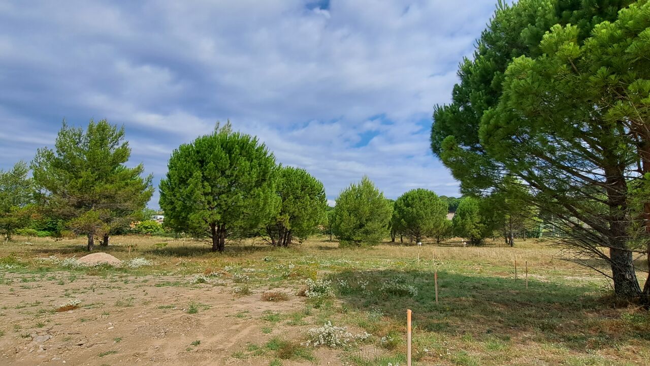 terrain  pièces 539 m2 à vendre à Caromb (84330)