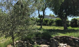 Photo N° 4