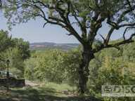 Spacieuse propriété avec Gîte, piscine et 10 hectares sur magnifique position. — photo 3