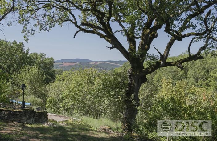 Spacieuse propriété avec Gîte, piscine et 10 hectares sur magnifique position. — photo 3