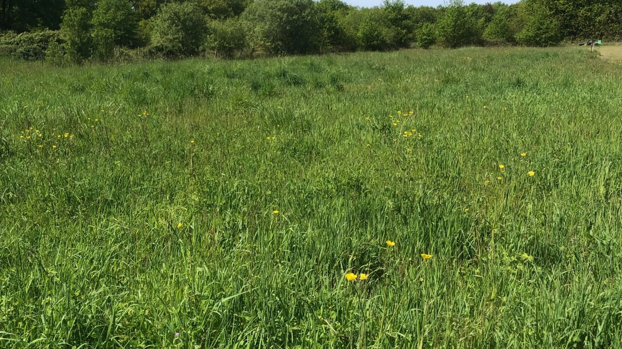 terrain  pièces 1584 m2 à vendre à Vignoux-sur-Barangeon (18500)