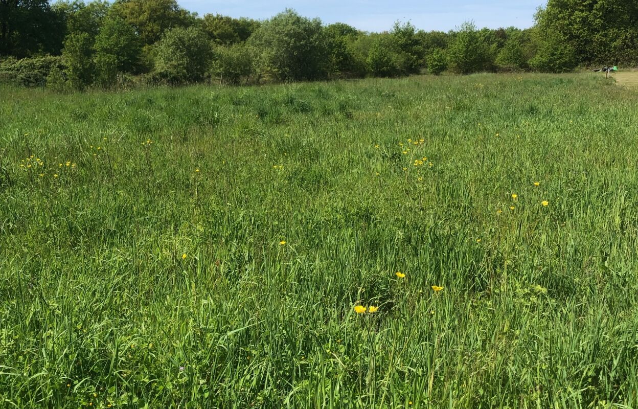 terrain  pièces 1584 m2 à vendre à Vignoux-sur-Barangeon (18500)