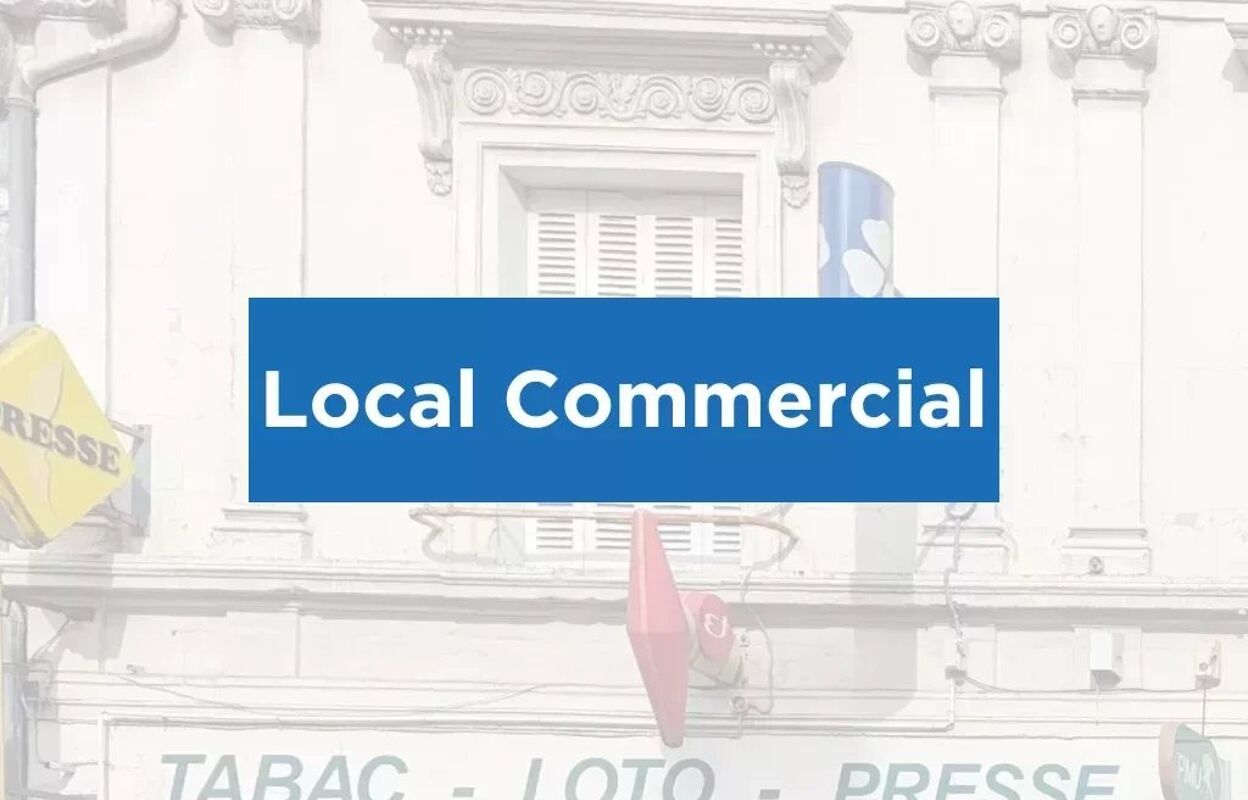 commerce  pièces 139 m2 à vendre à Cinq-Mars-la-Pile (37130)