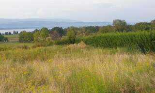 Maison 4 Pièces 114 m² à vendre à Messery (74140)