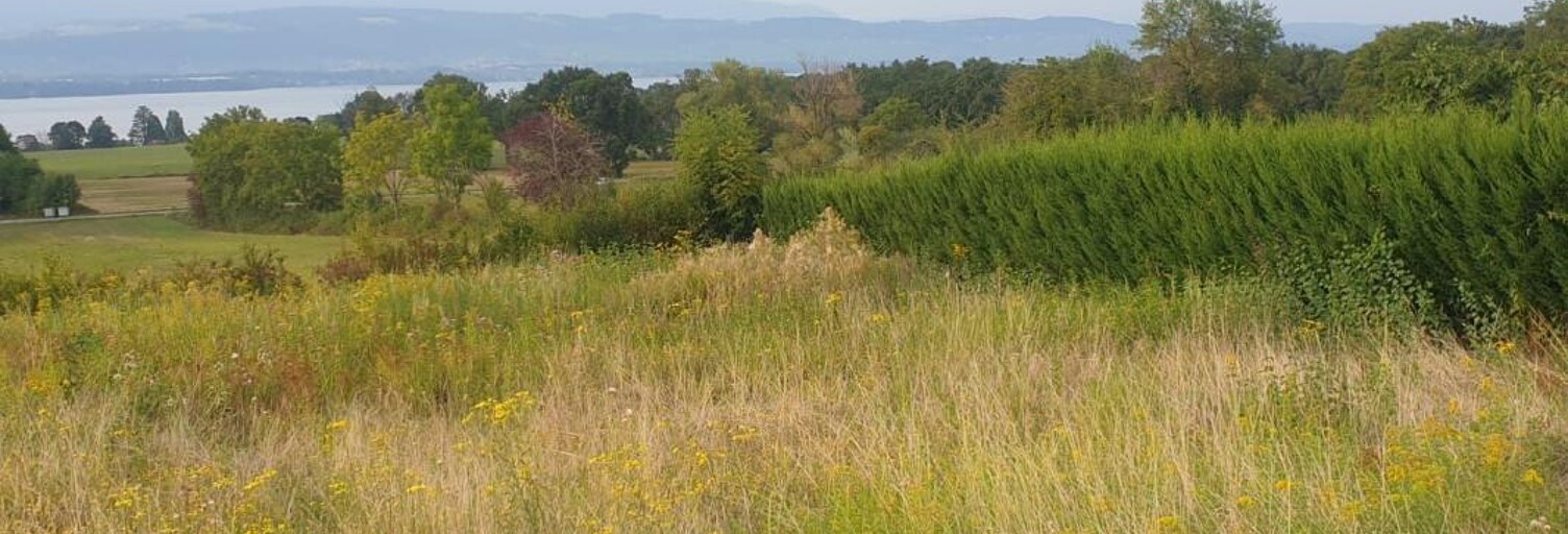 Maison 4 Pièces 114 m² à vendre à Messery (74140)