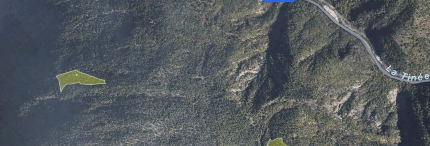 Terrain  41965 m² à vendre à Isola (06420)