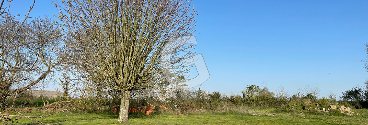 Terrain  754 m² à vendre à La Jonchère (85540)