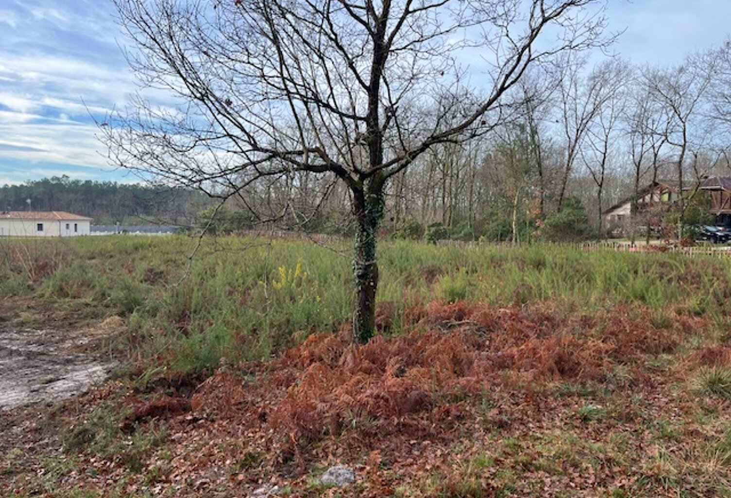 terrain constructible Gourbera — photo 1