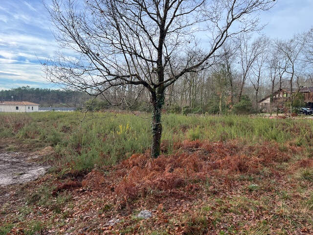 terrain constructible Gourbera — photo du bien