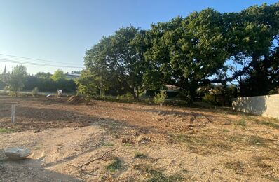 terrain  pièces 450 m2 à vendre à La Motte-d'Aigues (84240)