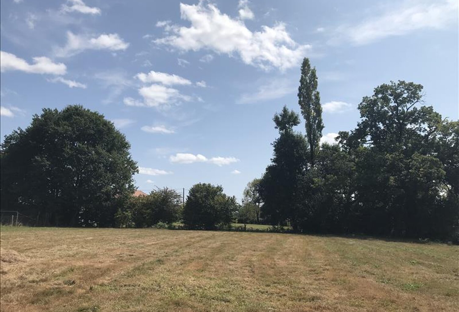 Vente terrain  2356 m² Argagnon (64300) — photo 1