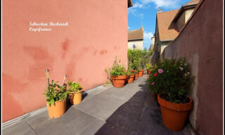 Photo N° 2