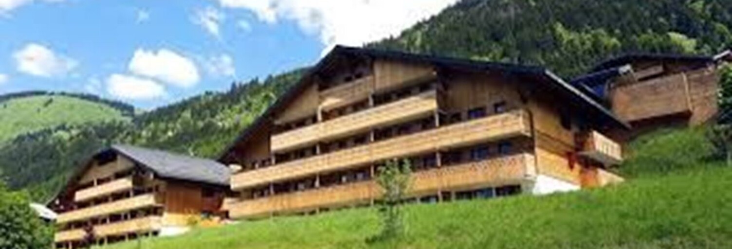 Appartement 2 Pièces 29 m² à vendre à Châtel (74390)