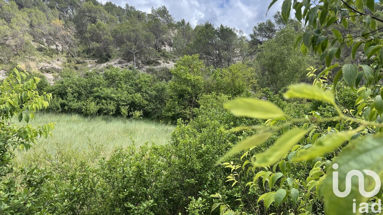 terrain  pièces 1613 m2 à vendre à Contes (06390)