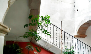 Photo N° 7