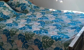 Appartement 1 Pièce 20 m² à louer à Artigues-près-Bordeaux (33370)