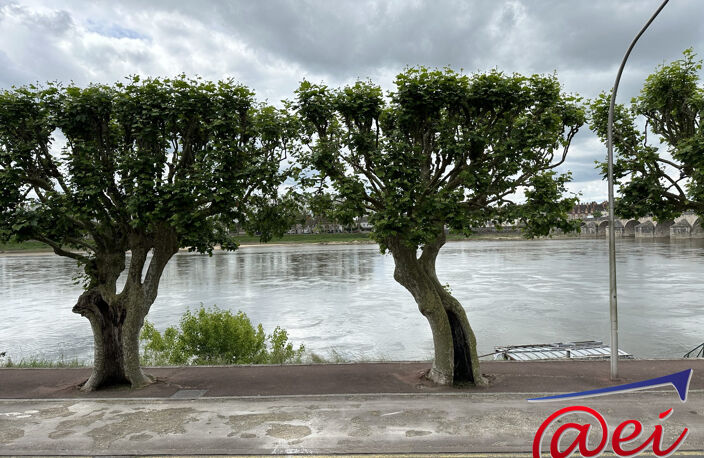 Sublime appartement T 4 avec jardin terrasse vue sur la Loire — photo 2