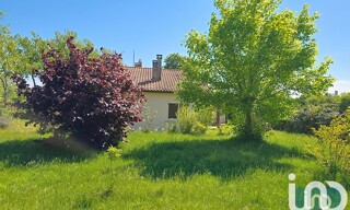 Photo N° 5