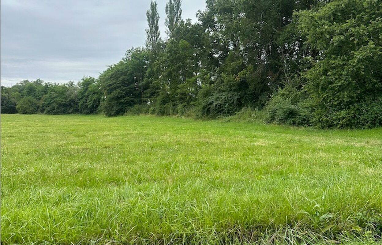 terrain  pièces 1500 m2 à vendre à Libourne (33500)