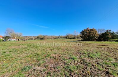 terrain  pièces 2400 m2 à vendre à Sauveterre-de-Béarn (64390)