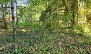 Photo N° 3