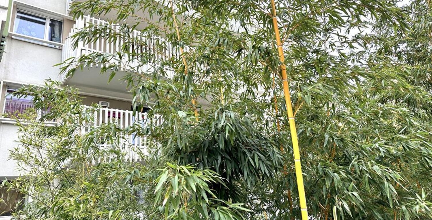 Appartement T2 de 43,94 m2 habitables avec 25 m2 de terrasse — photo 1