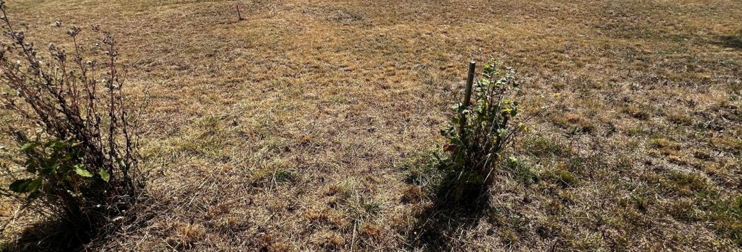 Terrain  648 m² à vendre à Breuillet (17920)