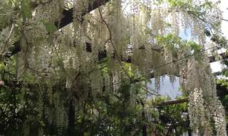 Appartement 1 Pièce 19 m² à louer à Montigny-lès-Metz (57950)