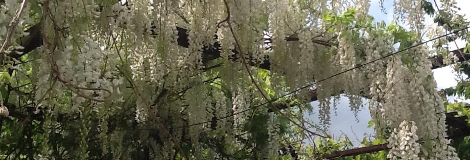 Appartement 1 Pièce 19 m² à louer à Montigny-lès-Metz (57950)