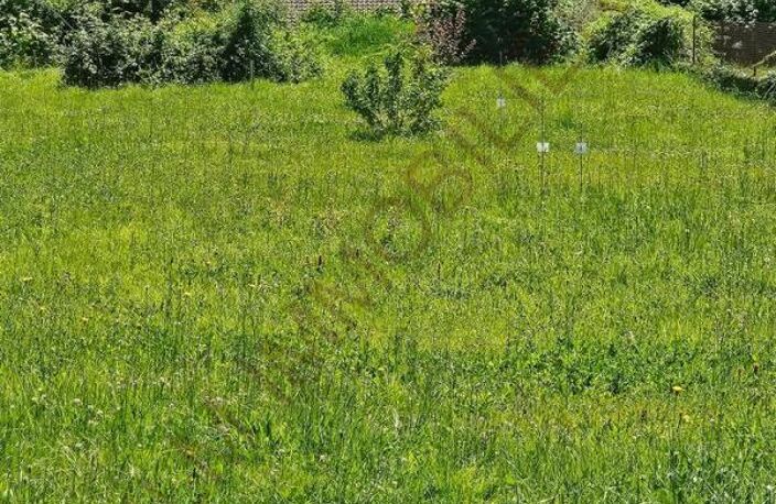 TERRAIN CONSTRUCTIBLE YONNE AUXERRE — photo 5