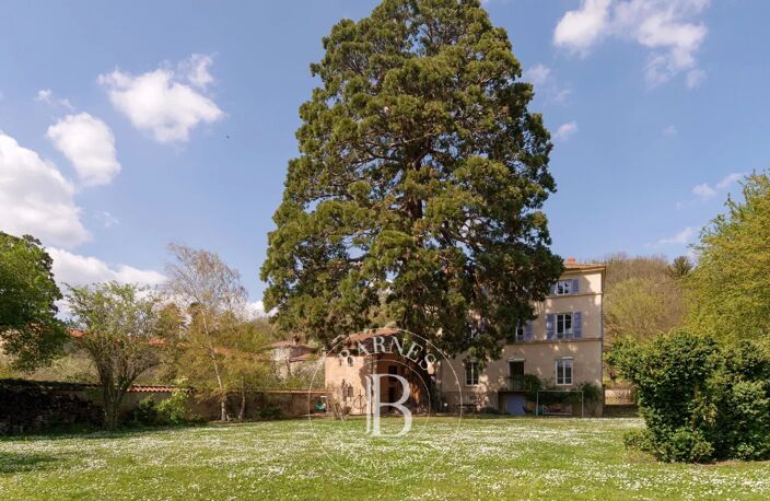 CHESSY-LES-MINES - Maison de maître de 347,78 m² - Terrain de 1981 m² - 7 chambres — photo 3